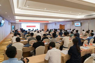 二十五局施工技術(shù)交流 以專業(yè)協(xié)同助力轉(zhuǎn)體橋施工品牌打造